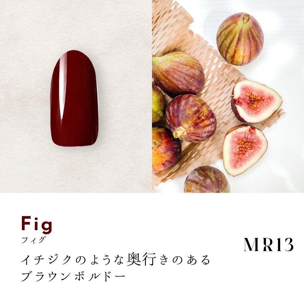 MR13 Fig